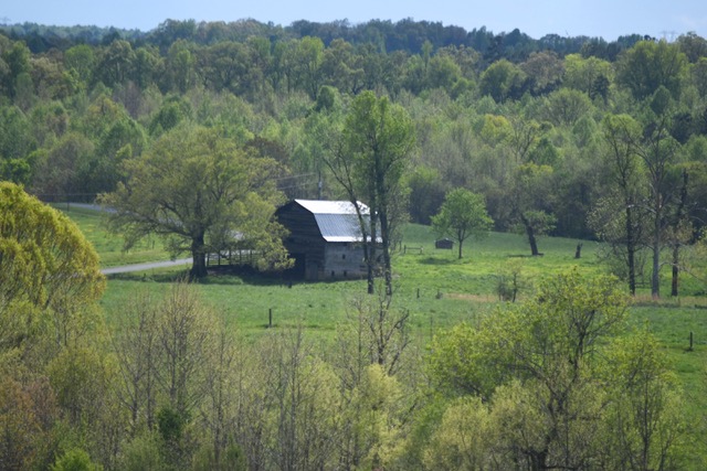 Braeburn Farm - Grassfed Beef photo 8